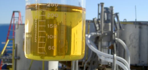 biodiesel plant w ethanol in beaker