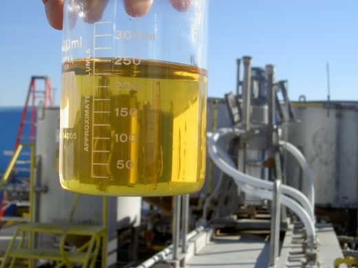 biodiesel plant w ethanol in beaker