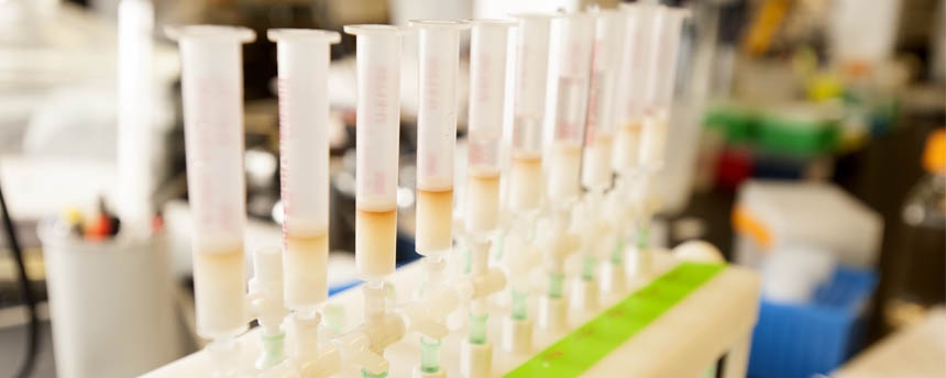 Samples of bovine milk are ready for analysis in the Daniela Barile Food Science Laboratory at UC Davis. (Gregory Urquiaga/UC Davis)