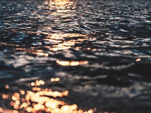 bryan minear 340477 unsplash cut