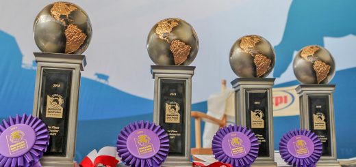 AMPI 1st place prizes, 2018 World Dairy Expo Championship Dairy Product Contest, AMPI Wins Dairy Awards