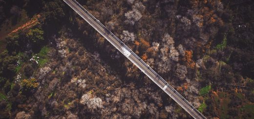 San Luis Rey Bridge, Bonsall, United States