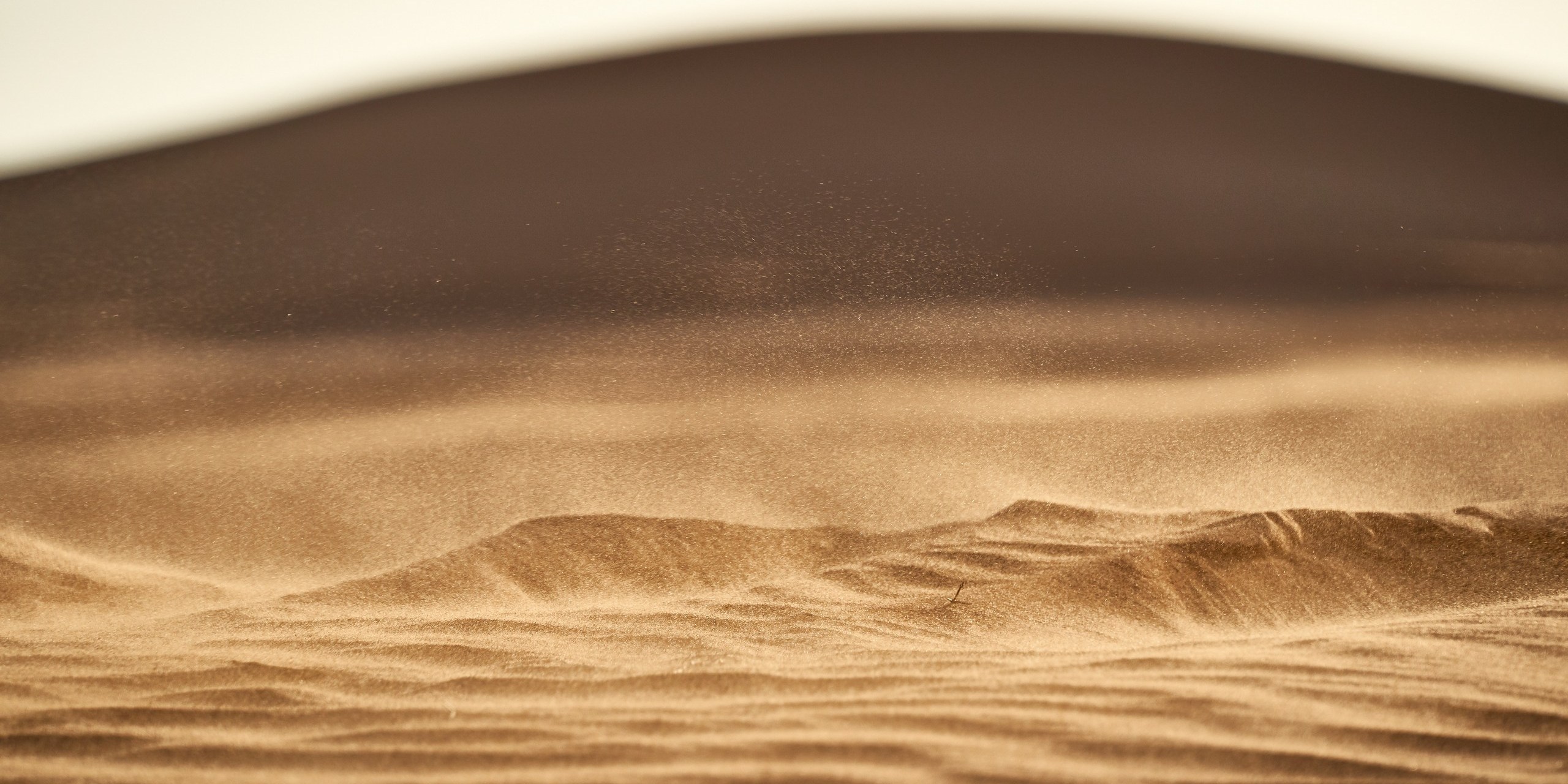 Sand kicked up by wind