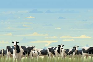 dairy cows in field artwork