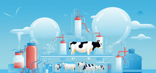 Dairy Industry Artwork