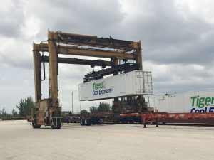 Tiger Cool Express Intermodal Trailer at Docks